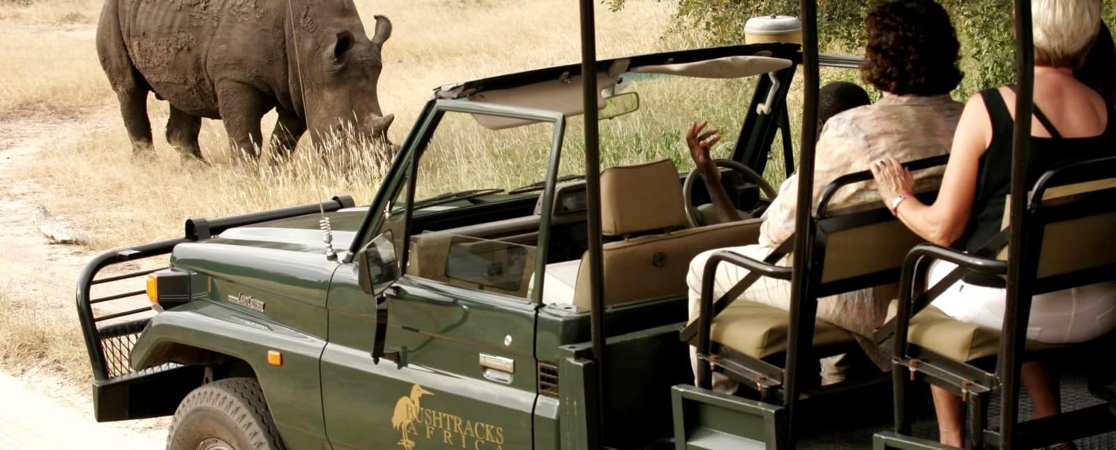 Game viewing